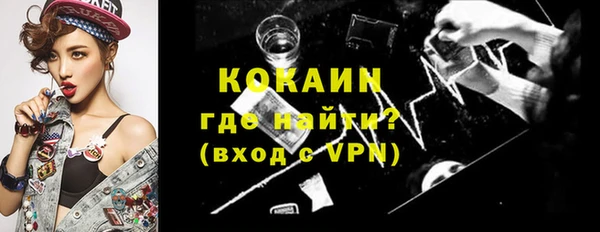 дмт Ладушкин