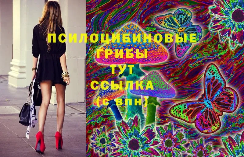 Галлюциногенные грибы Psilocybe  omg ТОР  Луза 