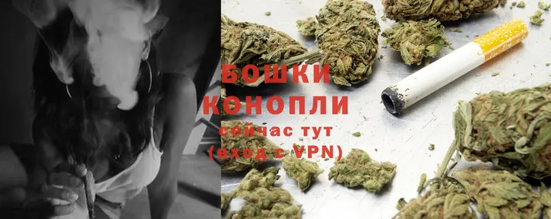 Канабис OG Kush  Луза 